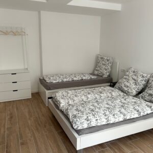 Apartment mit 1 Schlafzimmer